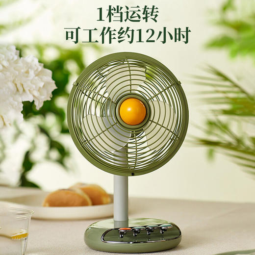 forestlife风扇台式复古桌面电风扇家用迷你台扇可供手机充电便携 商品图0