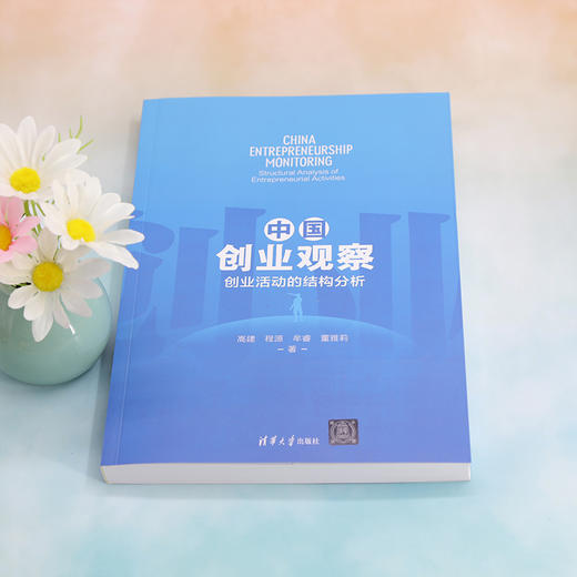 中国创业观察 创业活动的结构分析  商品图0