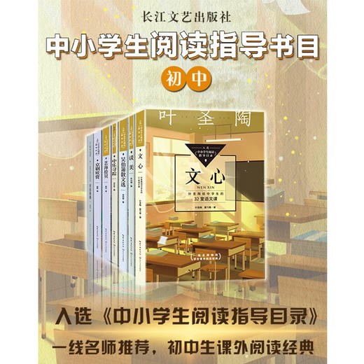 中乐寻踪 辛丰年 著 课外读物 商品图2