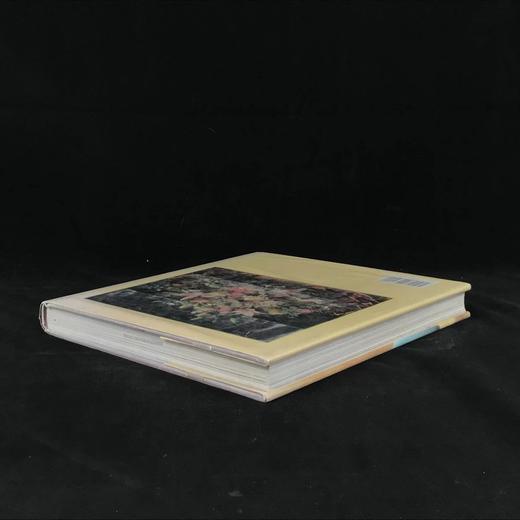 插花样式图集 数百幅彩色插图 精装大16开 商品图2