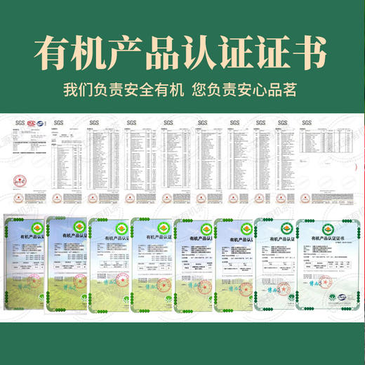 【有机茶】弋江源丨黟山石墨茶 有机红茶 一级 50g 安徽省级非遗石墨茶 商品图4