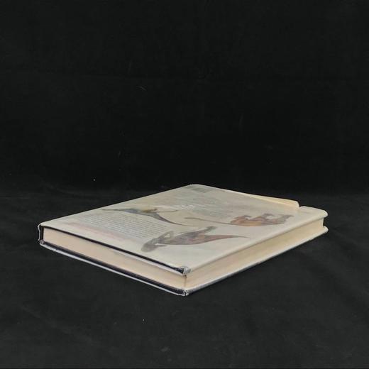 恐龙与史前动物图解百科全书 数百幅彩色插图 精装大16开 商品图2