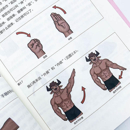 写给健身者的运动解剖学漫画版 健身训练书籍 肌肉图解健身知识 仰望尾迹云 商品图3