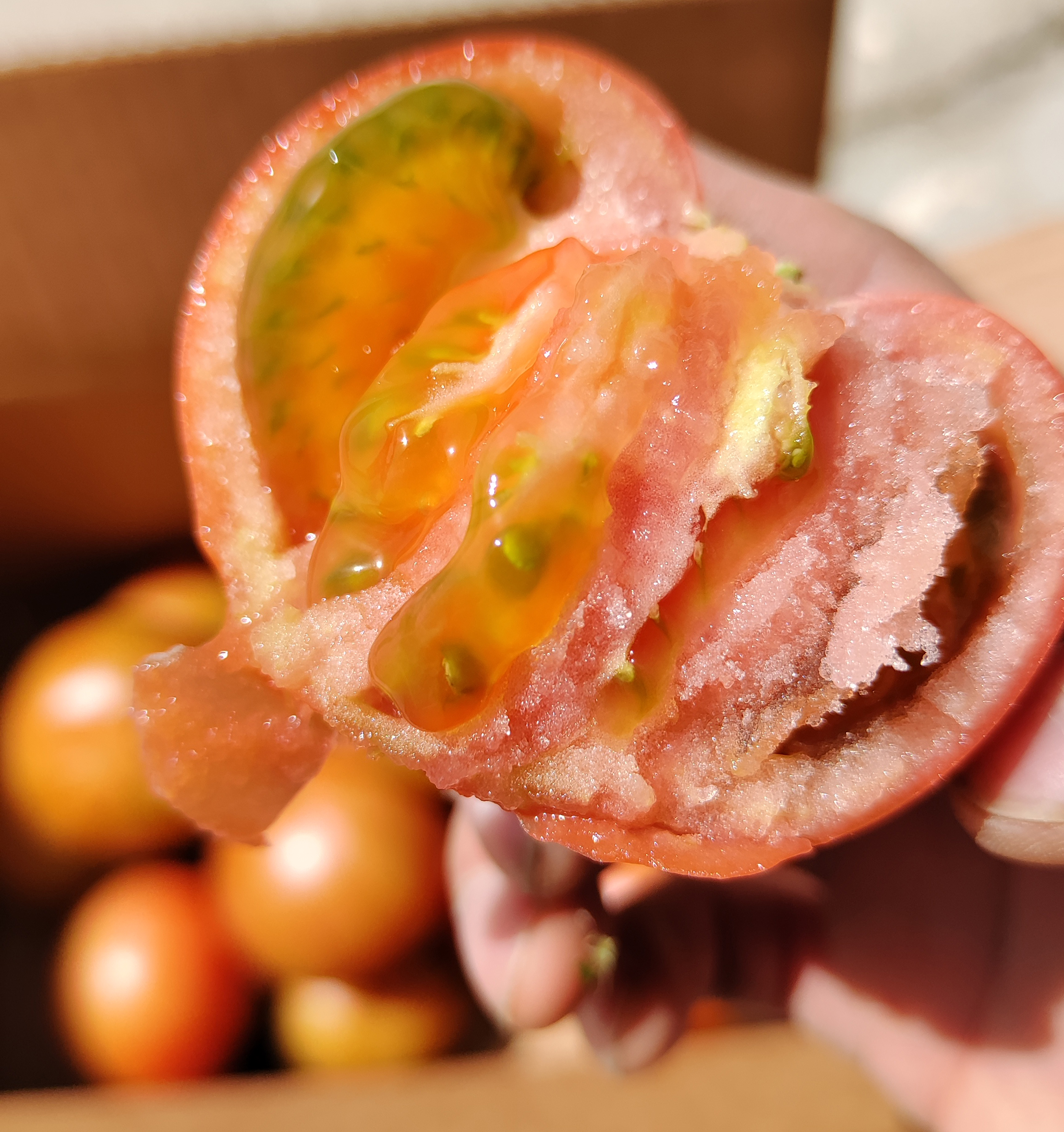 海阳水果西红柿 自然熟 适合生吃，顺丰包邮，排单发货中，不接急单，受天气影响，延时发货！介意者慎拍！