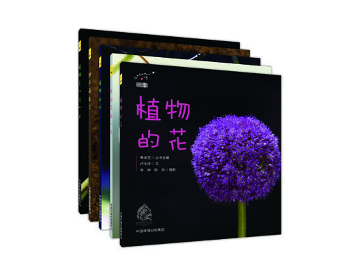 一季（全5册） 商品图2