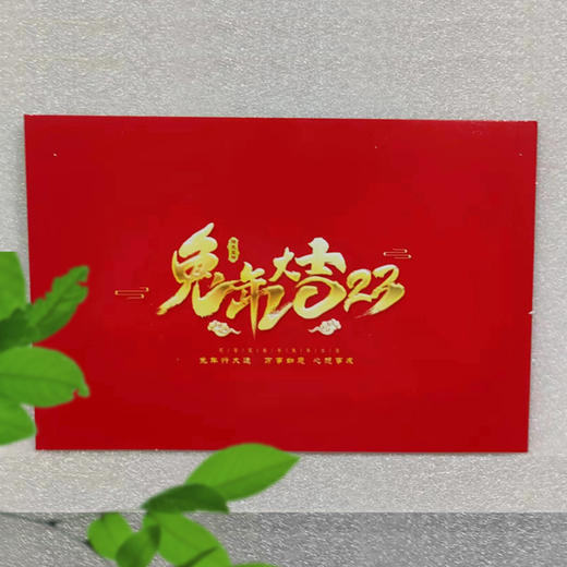 2023兔年（癸卯）流通纪念币 第二轮生肖贺岁纪念币 商品图11