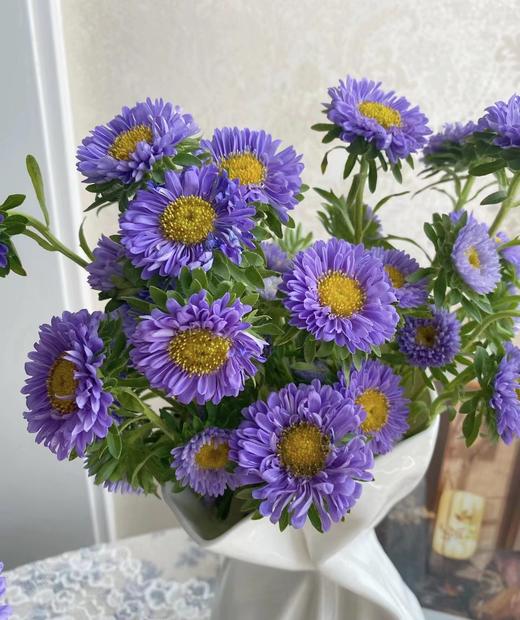 翠菊4支（拼团） 商品图3