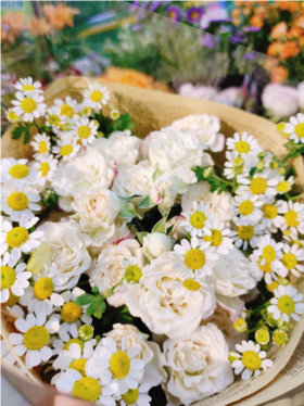 折射玫瑰+洋甘菊花束（拼团）