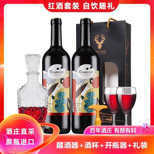 【自营】送醒酒器+酒杯+开瓶器 西班牙原瓶进口萨洛德梦干红葡萄酒750ml*2瓶红酒 H 商品图0