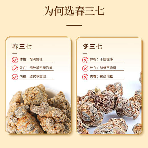 （内购）福东海 三七头250克 云南文山春三七 可磨粉搭配丹参 甄选40头 商品图4