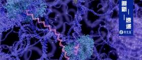 德国马普衰老所里程碑之作：衰老底层机制大揭秘，衰老生物学革命一触即发 