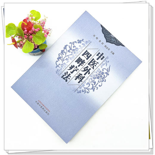 中医外科四畔疗法 刘明 张玥 陈会苓 主编 中国中医药出版社 中医外科学 商品图2