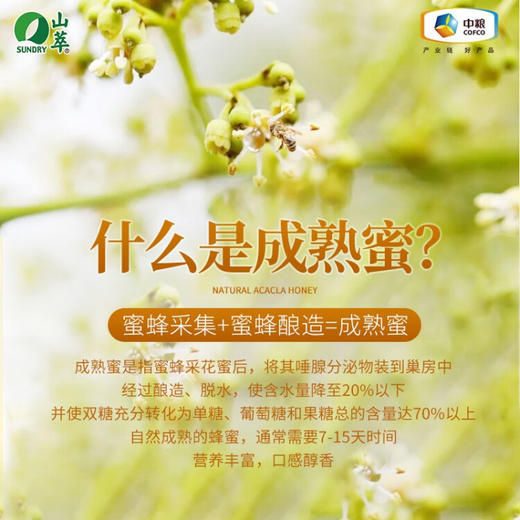 中粮 山萃 蜂蜜 枣花蜜 500g（瓶装）成熟蜜 商品图2