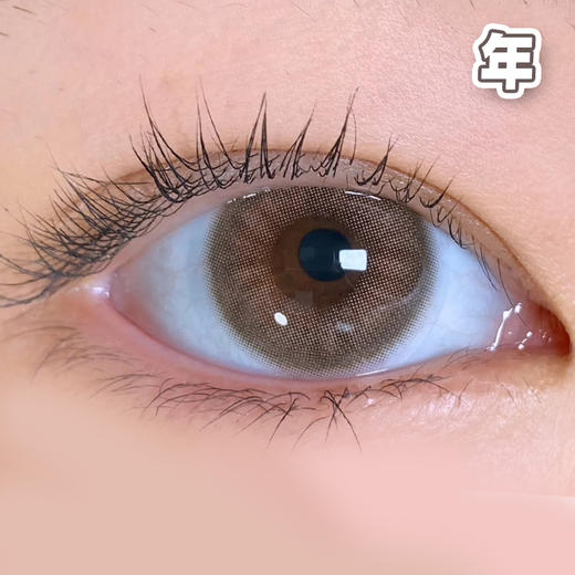 #065 VINCENT Brown 栗川岩 棕色  14.0mm【 一片装】舒适推荐  / 年抛 商品图0