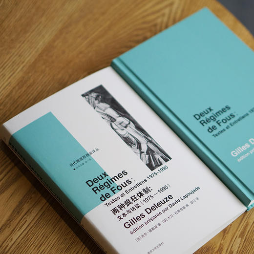 两种疯狂体制：文本与访谈（1975—1995） 商品图2