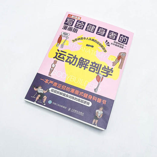 写给健身者的运动解剖学漫画版 健身训练书籍 肌肉图解健身知识 仰望尾迹云 商品图4