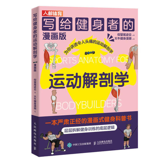 写给健身者的运动解剖学漫画版 健身训练书籍 肌肉图解健身知识 仰望尾迹云 商品图0