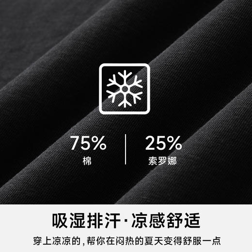 【新款DDA】大依优型大码索罗娜短袖T恤加肥加大透气吸汗夏季上衣半袖男装冰丝 商品图1