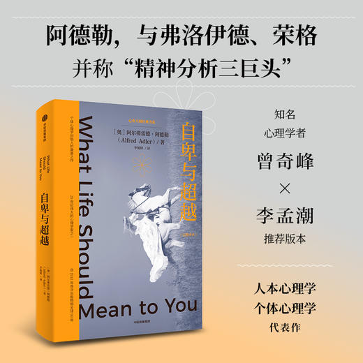 阿德勒心理学实践手册+自卑与超越 套装2册 阿尔弗雷德·阿德勒 著 励志 商品图2