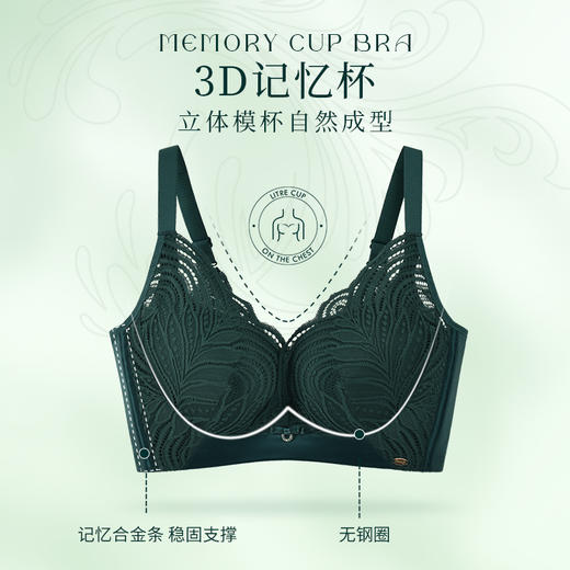 新款高级孔雀墨绿小胸聚拢舒适承托3D记忆棉透气聚拢收副乳文胸WWJ232-3 商品图2