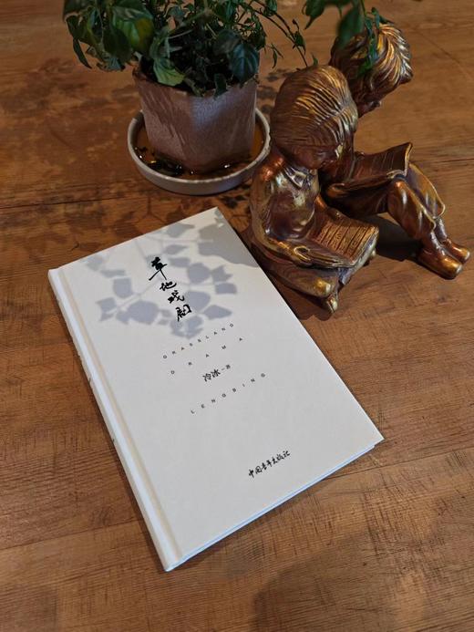 《草地戏剧》冷冰著 商品图1