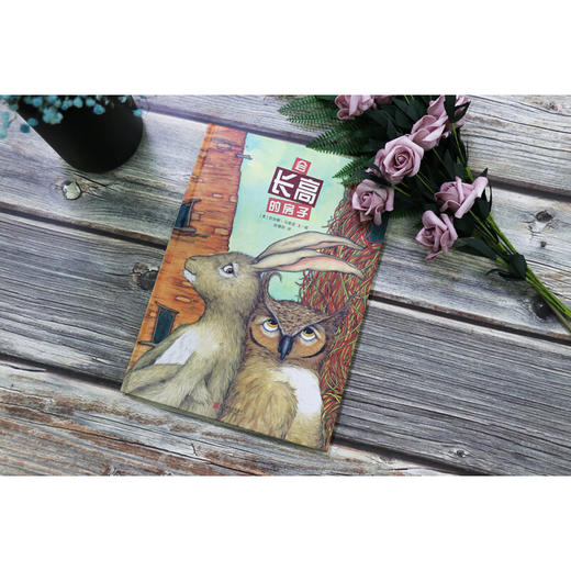 会长高的房子 3-6岁 吉安娜·马里诺 著 儿童绘本 商品图1