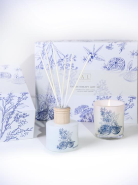 【团购展示】美通蓝色疏影系列香薰礼盒