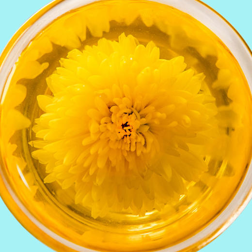【厂商直发】有机皇菊花茶低温烘焙朵型完整小瓶大瓶礼盒可选花茶清香 商品图6