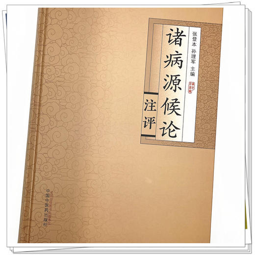 诸病源候论注评  张登本 孙理军 著  中国中医药出版社  书籍  商品图4