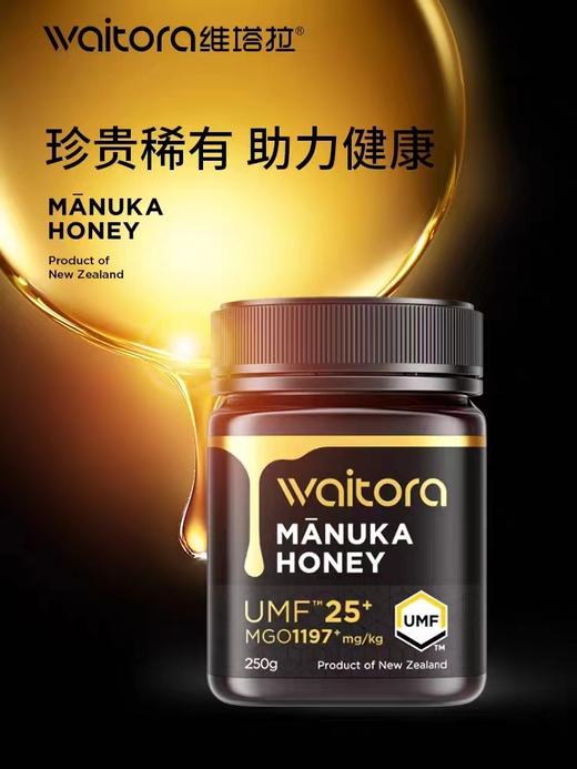 【BF】维塔拉麦卢卡蜂蜜25+ ( 250g) 商品图0