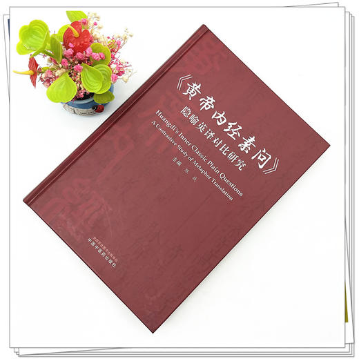 《黄帝内经素问》隐喻英译对比研究 陈战 著 中国中医药出版社 书籍 商品图2