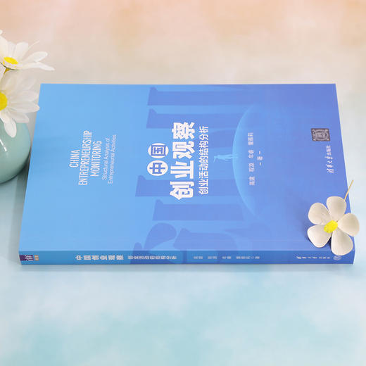 中国创业观察 创业活动的结构分析  商品图3