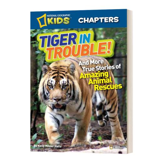 英文原版 National Geographic Kids Chapters Tiger in Trouble美国国家地理儿童章节书 英文版 进口英语原版书籍 商品图1