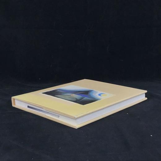 大都会博物馆美国粉彩画图集（馆藏） 240幅插图（35幅彩色） 精装大16开 商品图2