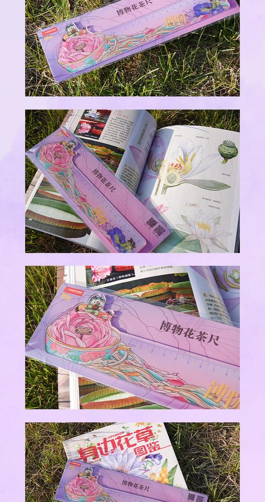 《身边花草图鉴 》博物杂志花草专题精选集增刊 商品图1