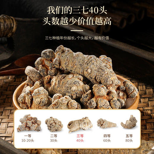 （内购）福东海 三七头250克 云南文山春三七 可磨粉搭配丹参 甄选40头 商品图5