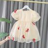 女宝宝公主裙夏季网红连衣裙女童韩版夏装裙子周岁服 商品缩略图1