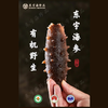 东宇 有机海参 即食海参500g （约5-12头） 商品缩略图1