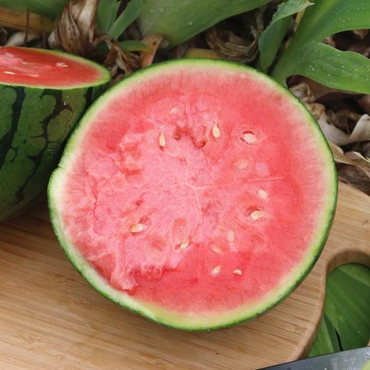 【手撕西瓜】顺丰包邮 山东聊城手撕小西瓜2k火山小西瓜4-5斤 商品图3