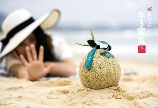 牛3蜜瓜 Sweet Green Melon 商品图1