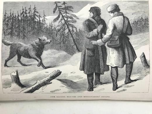 1876年 非凡的天意 8幅版画插图 漆布精装36开 商品图9