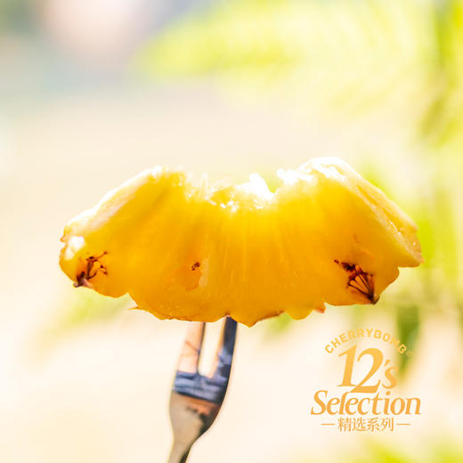 海南芒果凤梨 芒果+凤梨的多重香气 超高甜度 口感细嫩多汁  顺丰京东快递 商品图9