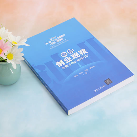中国创业观察 创业活动的结构分析  商品图2