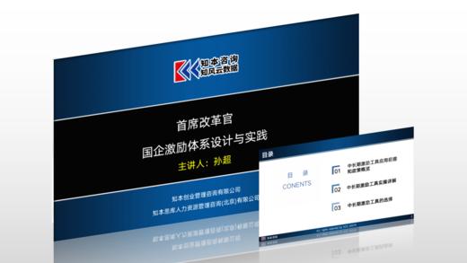 资料｜国企激励体系设计与实践 商品图0