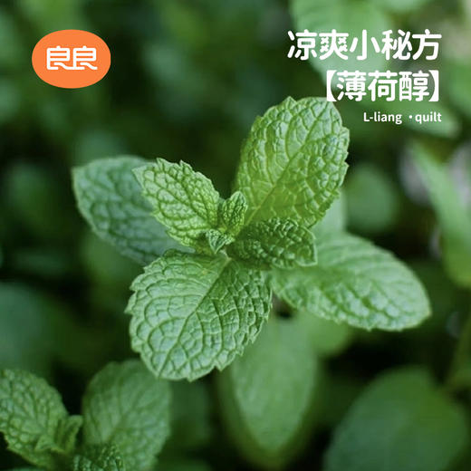 良良柔风冰淇淋成人凉感被180*200cm(蓝色) 商品图2