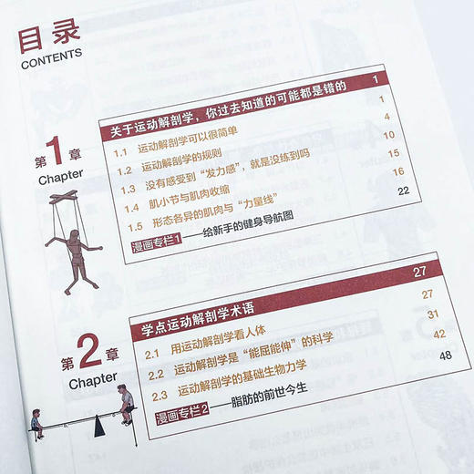 写给健身者的运动解剖学漫画版 健身训练书籍 肌肉图解健身知识 仰望尾迹云 商品图1