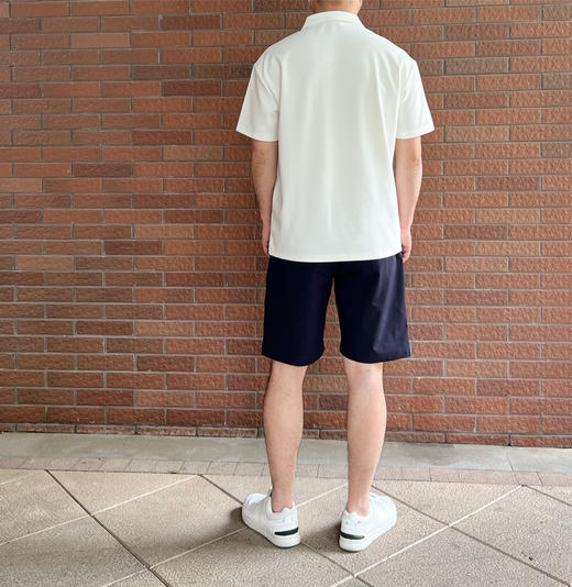 A101男爽滑松身polo衫透气纯色短袖T恤【包邮+三天无理由退huan】 商品图6