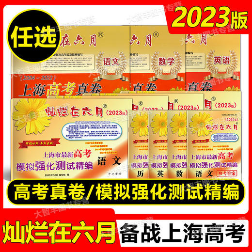 2023灿烂在六月语文数学英语物理化学上海中高考试卷+答案上海市新中考模拟强化测试精编/真卷 商品图1