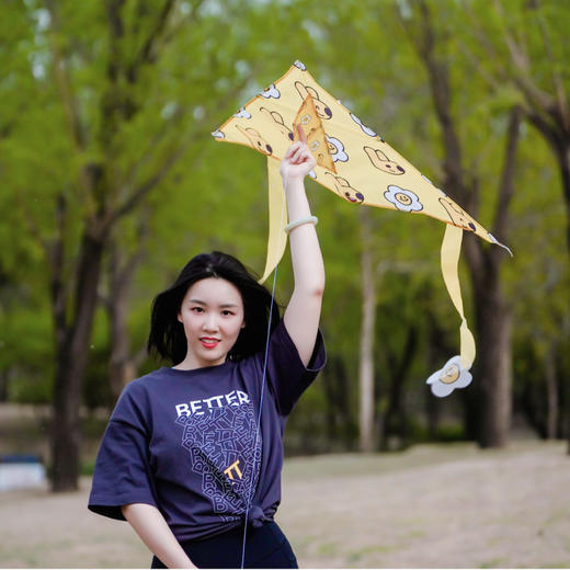 春日团团风筝 商品图1