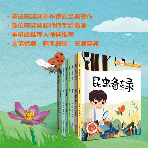 【已降160元】课本先睇《跟着课本一起读绘本第六辑》全8册 商品图2